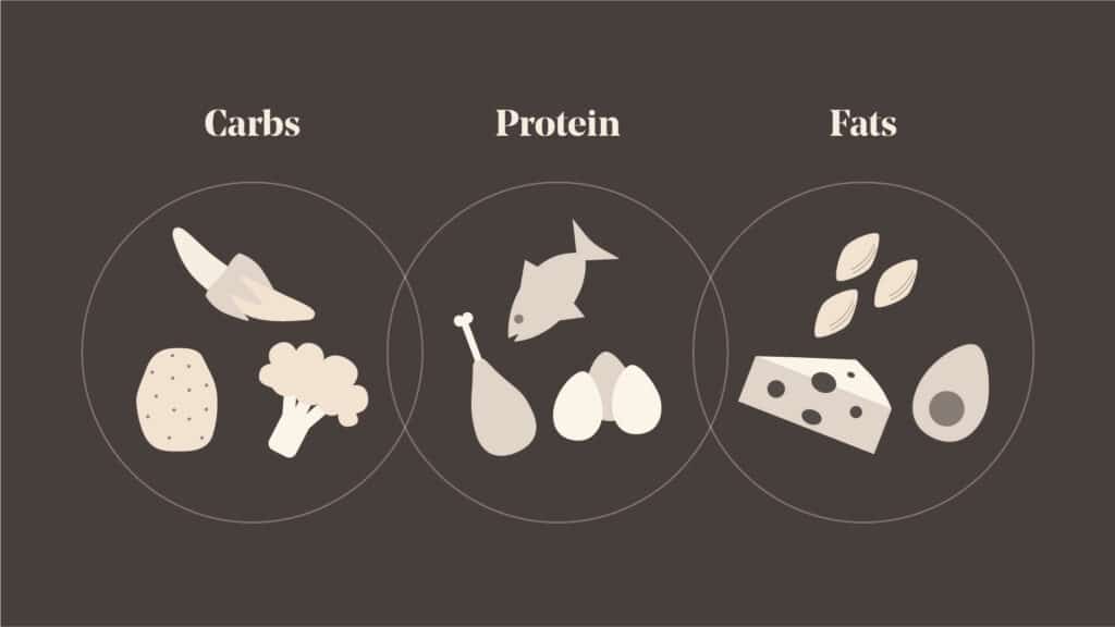 a diagram showing different foods that are high in carbs, protein or fats.