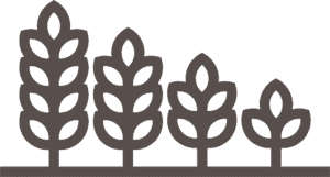 Low Carb Food Co Dark Logo Mark