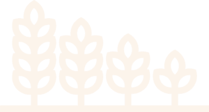 Low Carb Food Co Light Logo Mark