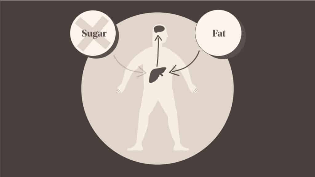 graphics showing a man using fat instead of sugar as fuel